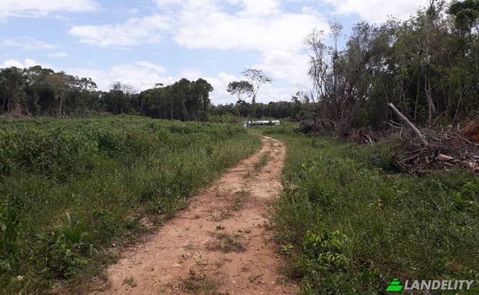 Land Lot for Sale Chunox Road, Progresso. Photo#3
