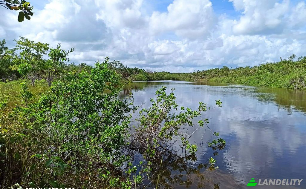 Land Lot for Sale Chunox Road, Chunox, Corozal District, Belize. Photo 2