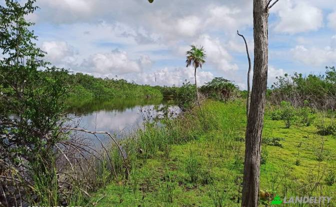 Land Lot for Sale Chunox Road, Chunox. Photo#3 Land Lot for Sale Chunox Road, Chunox. Photo#3