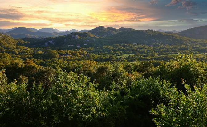 Land Lot for Sale Neimenovani Put, Drusici. Photo#18