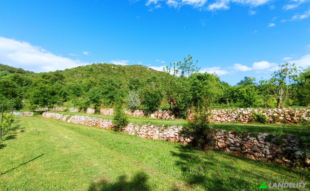 Land Lot for Sale Neimenovani Put, Drusici, Cetinje Municipality, Montenegro. Photo 3