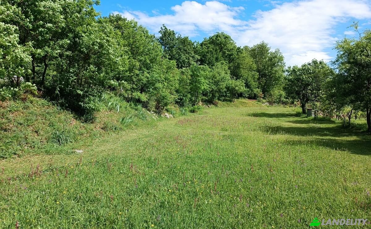 Land Lot for Sale Neimenovani Put, Drusici, Cetinje Municipality, Montenegro. Photo 4