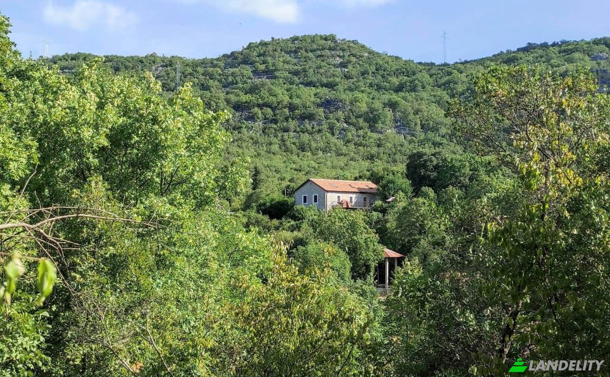 Land Lot for Sale Neimenovani Put, Drusici, Cetinje Municipality, Montenegro. Photo 5
