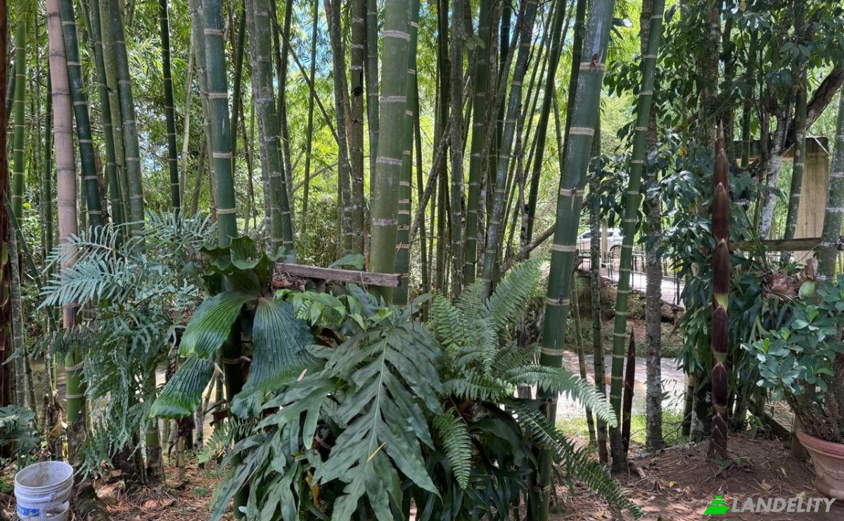 Villa en venta Vda Véga Botero, Gómez Plata, Antioquia, Colombia. Foto 11
