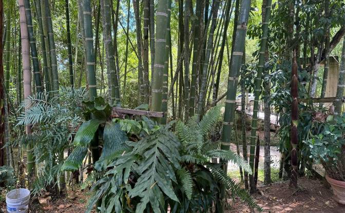 Villa en venta Vda Véga Botero, Gómez Plata. Foto#11