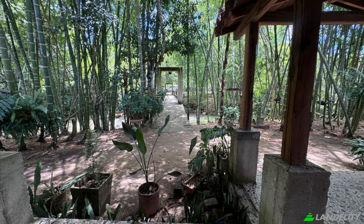 Villa en venta Vda Véga Botero, Gómez Plata, Antioquia, Colombia. Foto 12