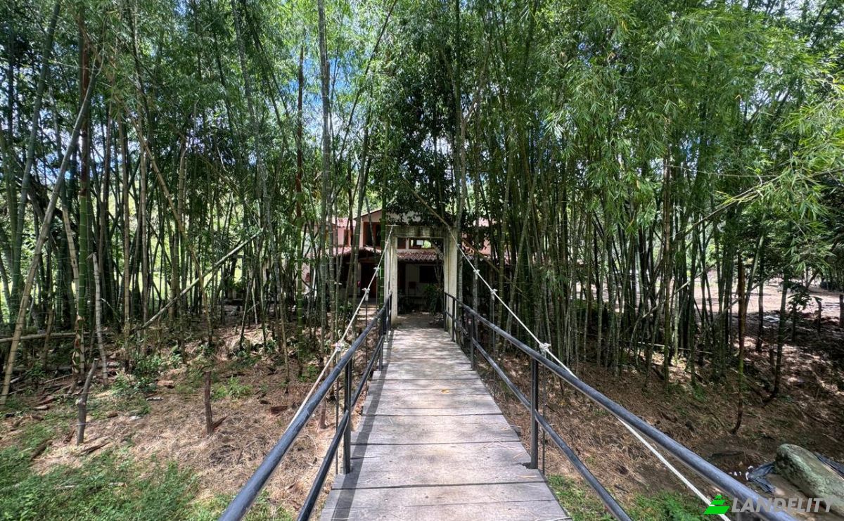 Villa en venta Vda Véga Botero, Gómez Plata, Antioquia, Colombia. Foto 16