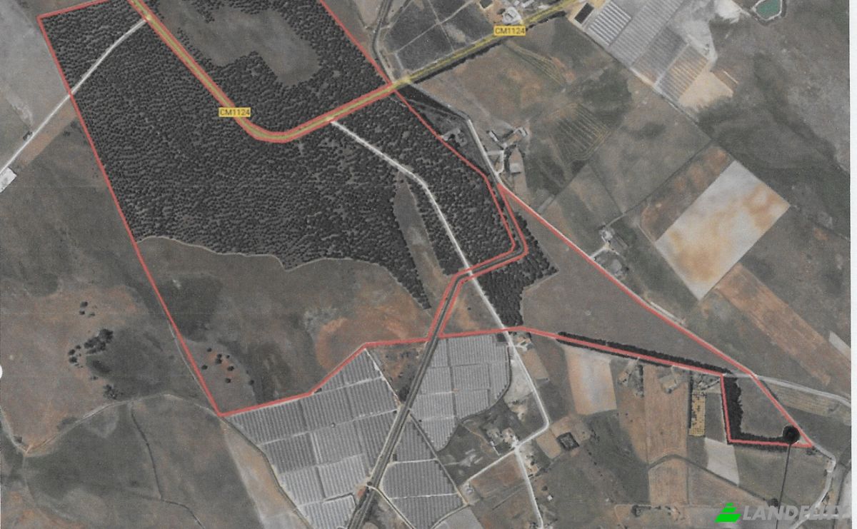 Land Lot for Sale Odemira, Beja District, Portugal. Photo 5