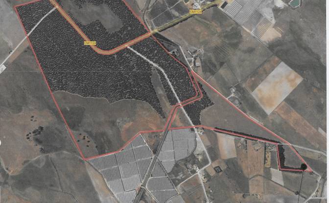 Land Lot for Sale Odemira, Beja District, Portugal. Photo#5 Land Lot for Sale Odemira, Beja District, Portugal. Photo#5