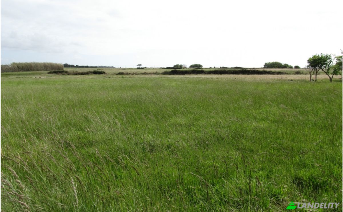 Land Lot for Sale Odemira, Beja District, Portugal. Photo 6