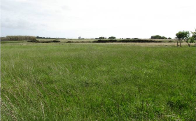 Land Lot for Sale Odemira, Beja District, Portugal. Photo#6 Land Lot for Sale Odemira, Beja District, Portugal. Photo#6