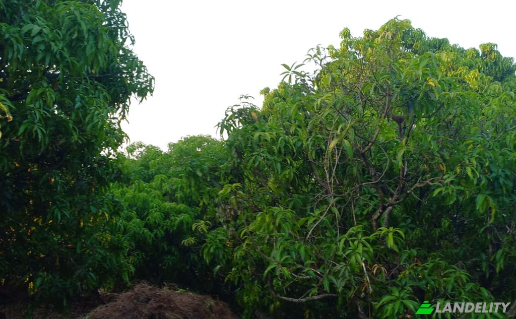 Land Lot for Sale MH SH, Bakale, Konkan Division, Maharashtra, India, Maharashtra 415805. Photo 1