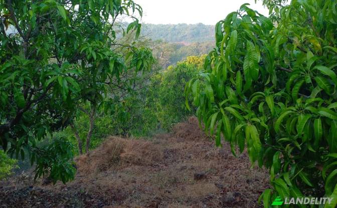 Land Lot for Sale MH SH, Bakale, Konkan Division. Photo#3 Land Lot for Sale MH SH, Bakale, Konkan Division. Photo#3