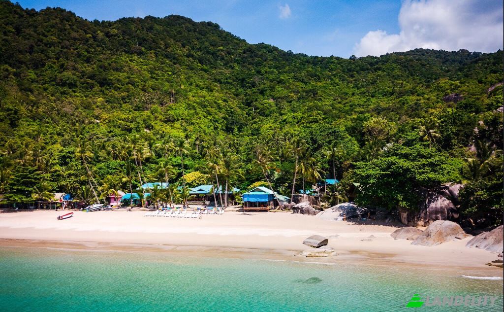 Land Lot for Sale Ban Tai, Ko Pha-ngan District, Nakhon Si Thammarat, Thailand, Surat Thani 84280. Photo 1