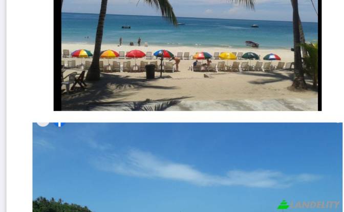 Land Lot for Sale Ban Tai, Ko Pha-ngan District. Photo#3