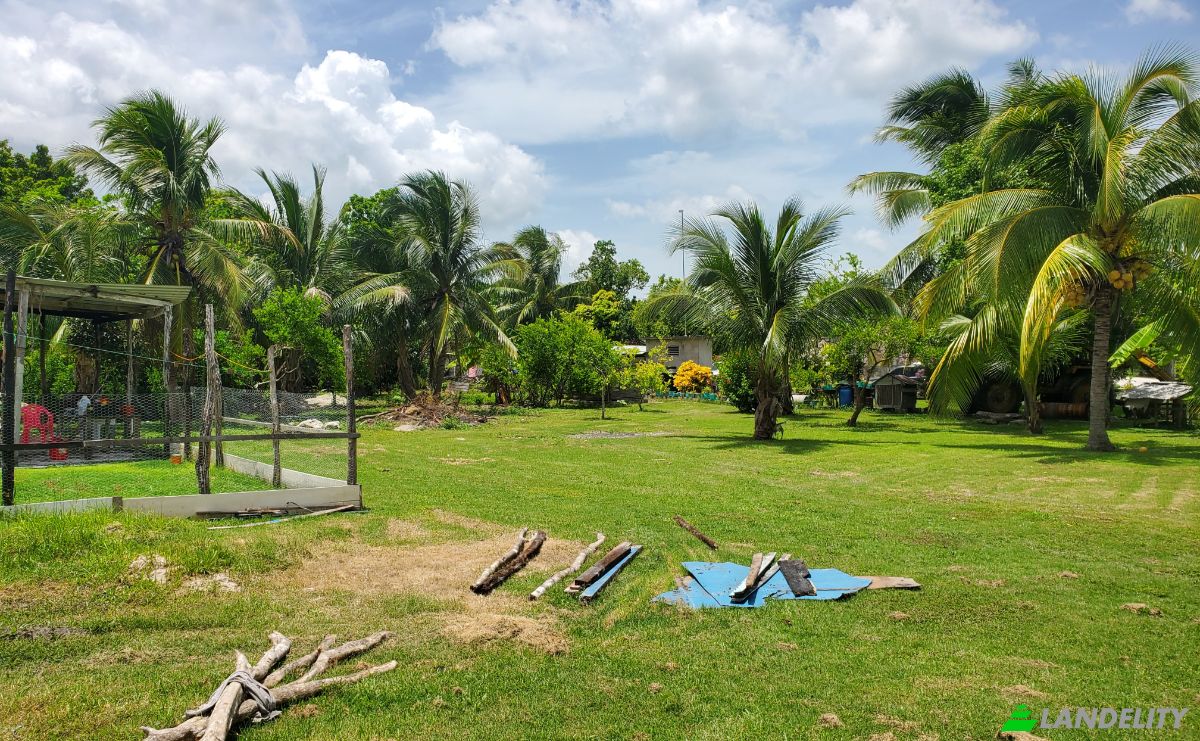 Single Family Home for Sale Caledonia, Corozal District, Belize. Photo 20