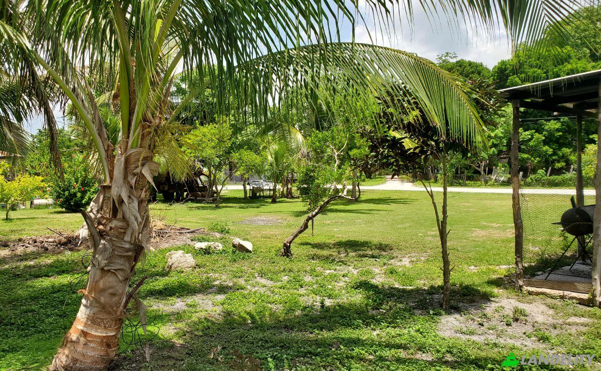 Single Family Home for Sale Caledonia, Corozal District, Belize. Photo 22
