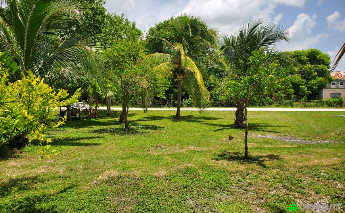 Single Family Home for Sale Caledonia, Corozal District, Belize. Photo 23