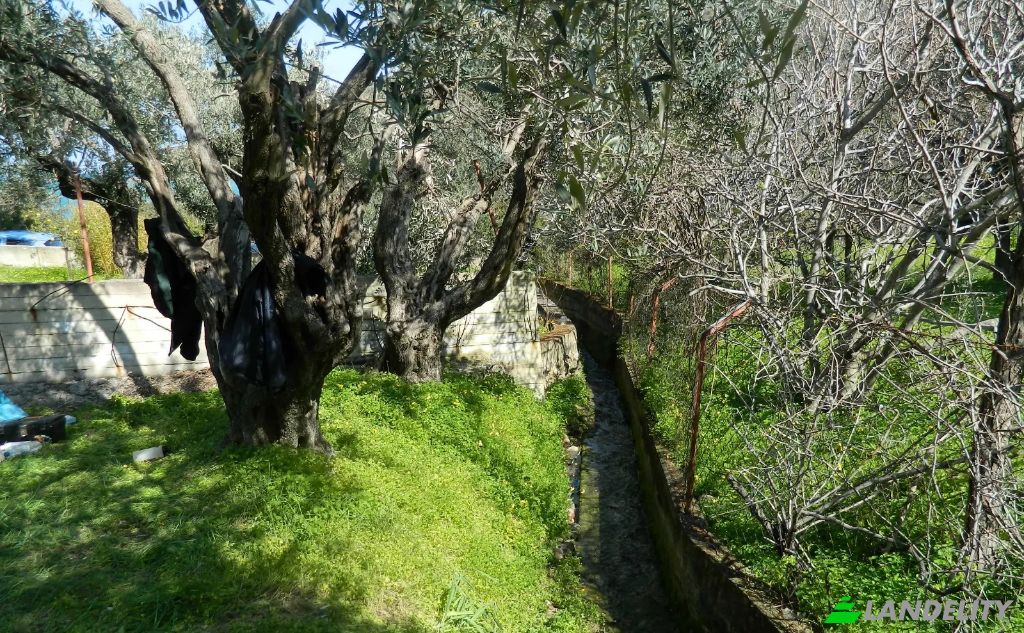 Land Lot for Sale EparOd Kardamilon-Keramou, Chios, Vlichada, North Aegean Region, Decentralized Administration of the Aegean, Greece. Photo 2