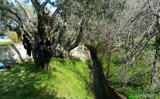 Land Lot for Sale EparOd Kardamilon-Keramou, Chios. Photo#2 Land Lot for Sale EparOd Kardamilon-Keramou, Chios. Photo#2