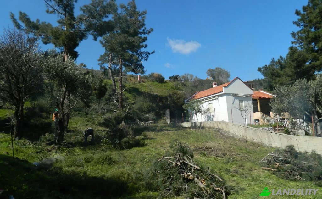 Land Lot for Sale EparOd Kardamilon-Keramou, Chios, Vlichada, North Aegean Region, Decentralized Administration of the Aegean, Greece. Photo 3