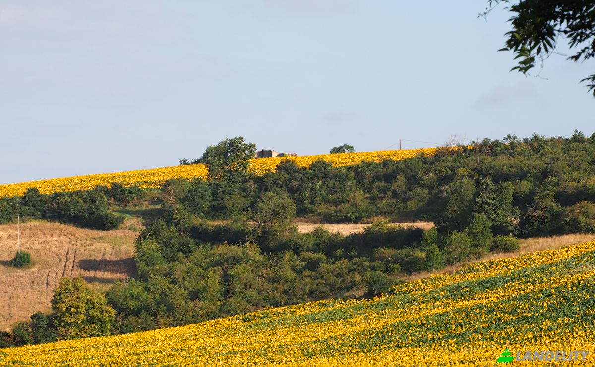 Mansion for Sale 28 Av de Villefranche, 31460 Caraman, Caraman, Haute-Garonne, Occitanie, France. Photo 5
