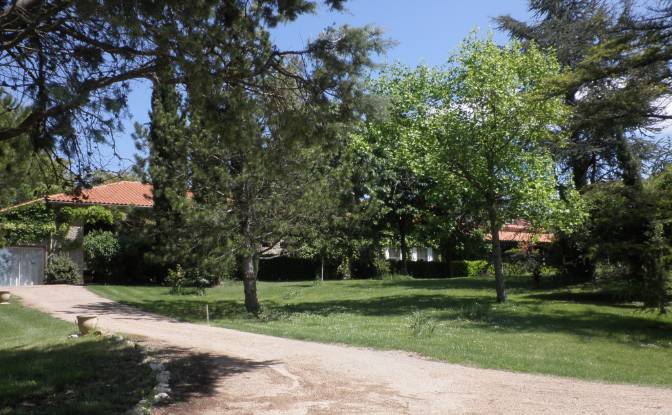 Mansion for Sale 28 Av de Villefranche. Photo#11 Mansion for Sale 28 Av de Villefranche. Photo#11