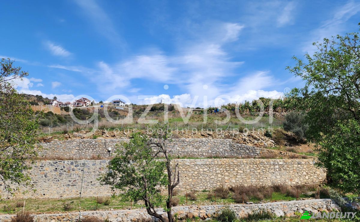 Lote de terreno à venda Ekmel, Isimsiz Yol, 07900 Gazipasa Antalya, Gazipasa Antalya, Gazipasa, Antalya, Turkiye. foto 9