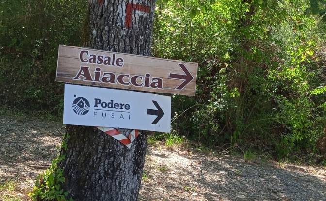 Single Family Home for Sale Localita Casa Piscini. Photo#17