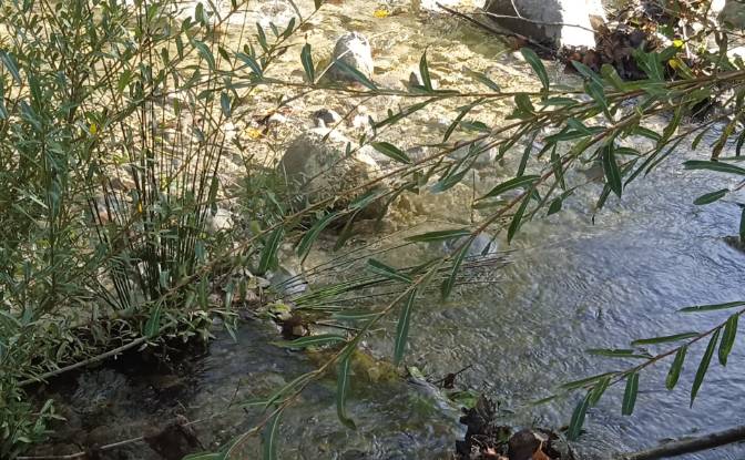 Single Family Home for Sale Localita Casa Piscini. Photo#20