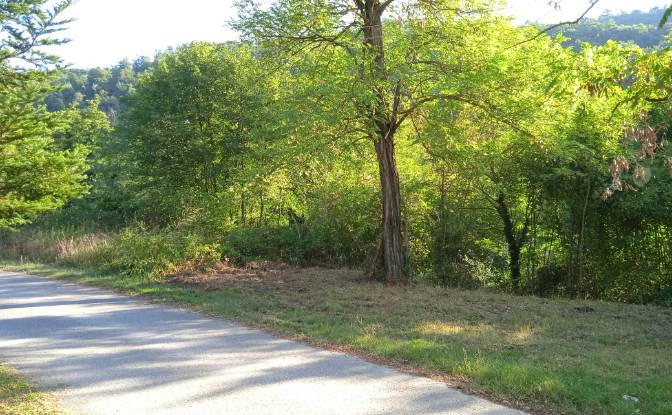 Single Family Home for Sale Localita Casa Piscini. Photo#9