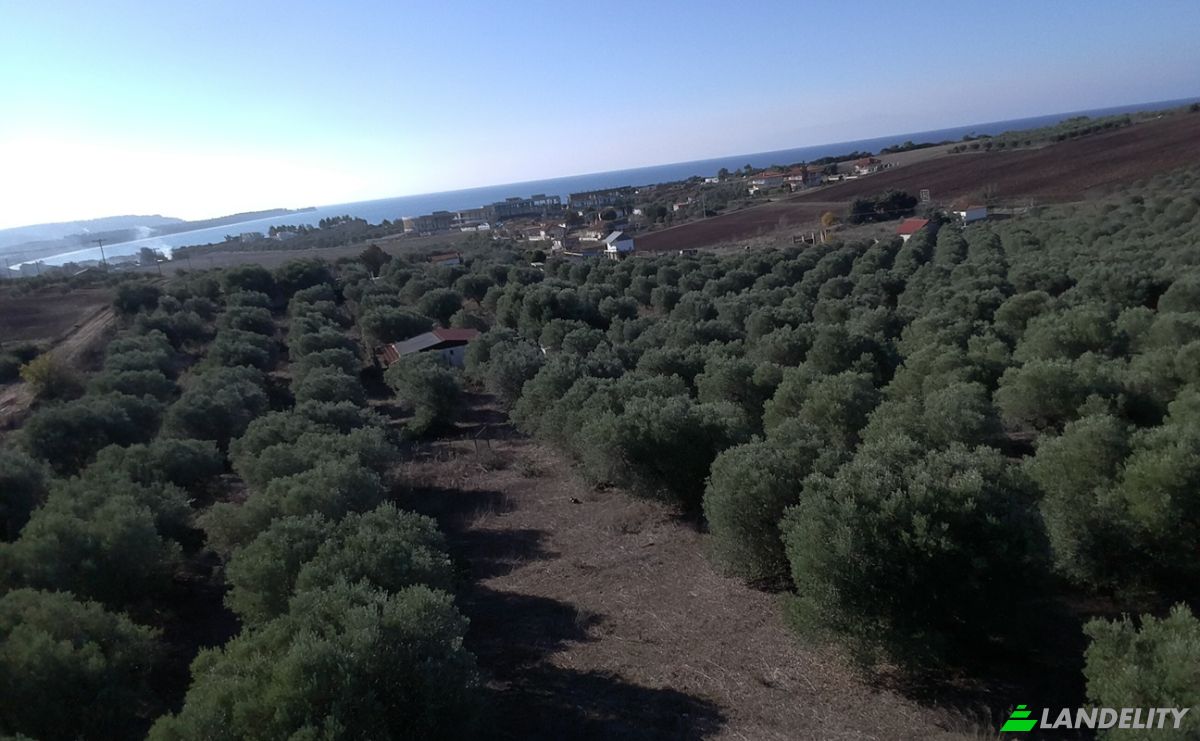 Land Lot for Sale Moudania, Central Macedonia, Decentralized Administration of Macedonia and Thrace, Greece. Photo 13