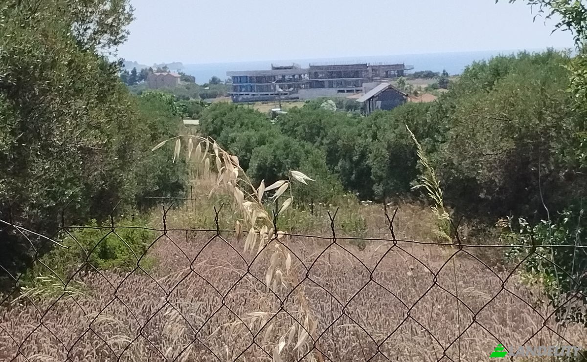 Land Lot for Sale Moudania, Central Macedonia, Decentralized Administration of Macedonia and Thrace, Greece. Photo 15