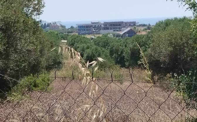 Land Lot for Sale Moudania, Central Macedonia. Photo#15
