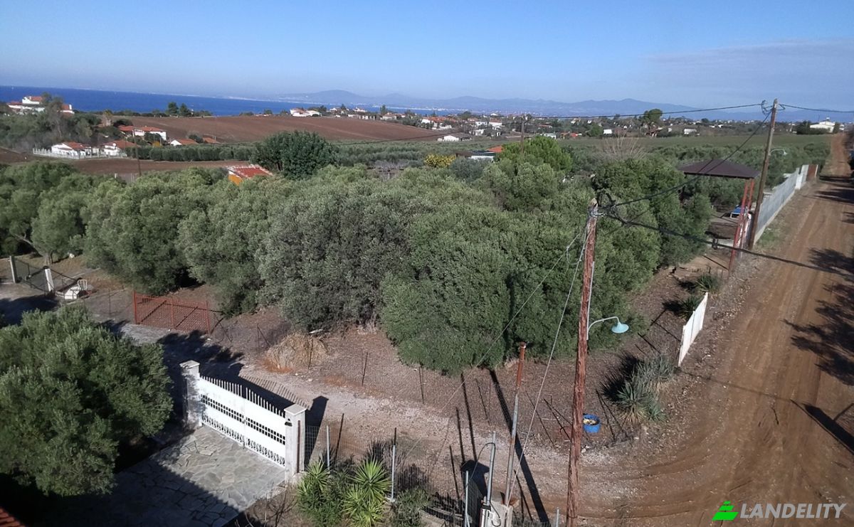 Land Lot for Sale Moudania, Central Macedonia, Decentralized Administration of Macedonia and Thrace, Greece. Photo 7