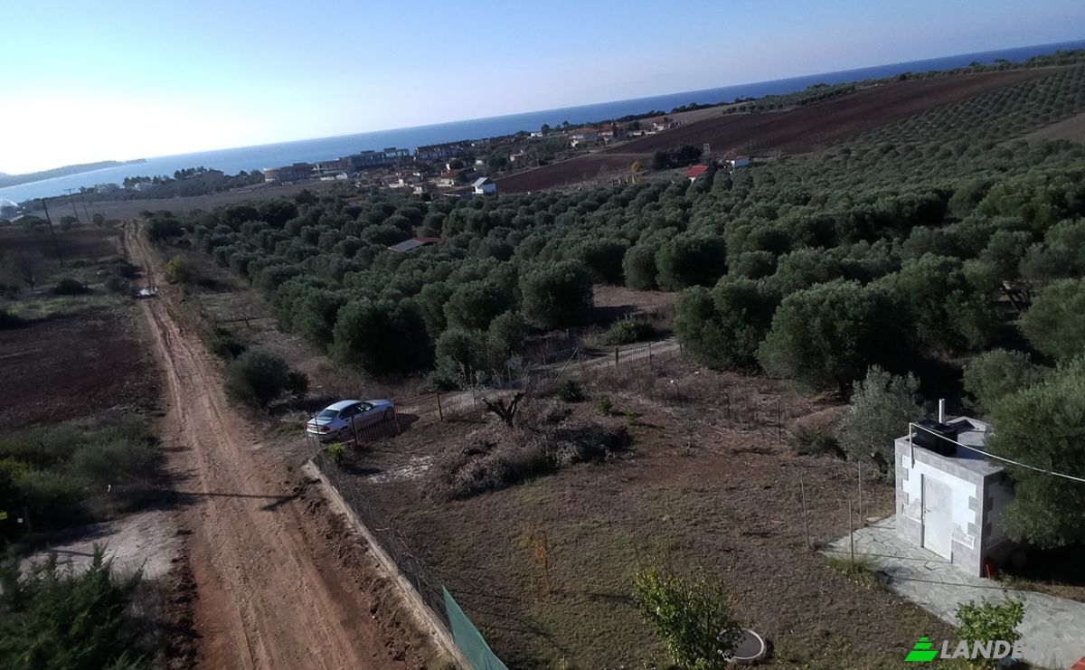 Land Lot for Sale Moudania, Central Macedonia, Decentralized Administration of Macedonia and Thrace, Greece. Photo 10