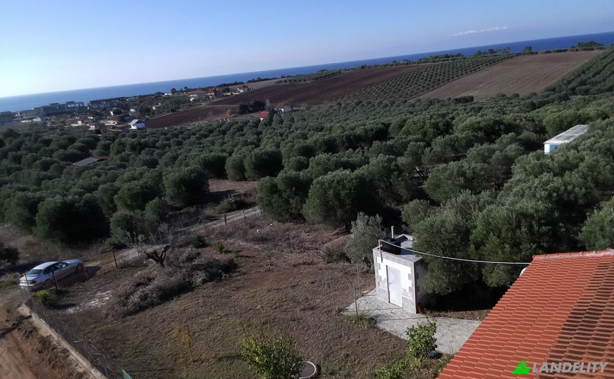 Land Lot for Sale Moudania, Central Macedonia, Decentralized Administration of Macedonia and Thrace, Greece. Photo 11