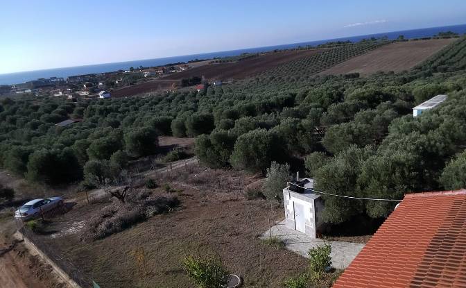 Land Lot for Sale Moudania, Central Macedonia. Photo#11