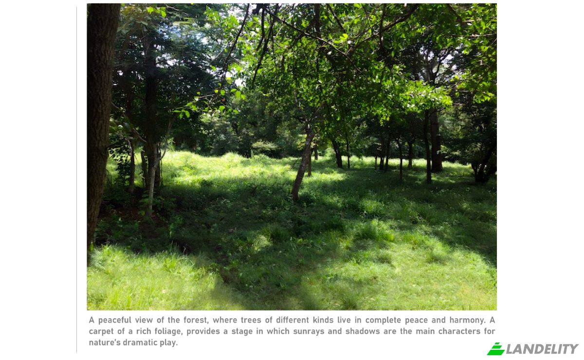 Land Lot for Sale Via sin nombre, Provincia de Guanacaste, Nicoya, Guanacaste Province, Costa Rica. Photo 5