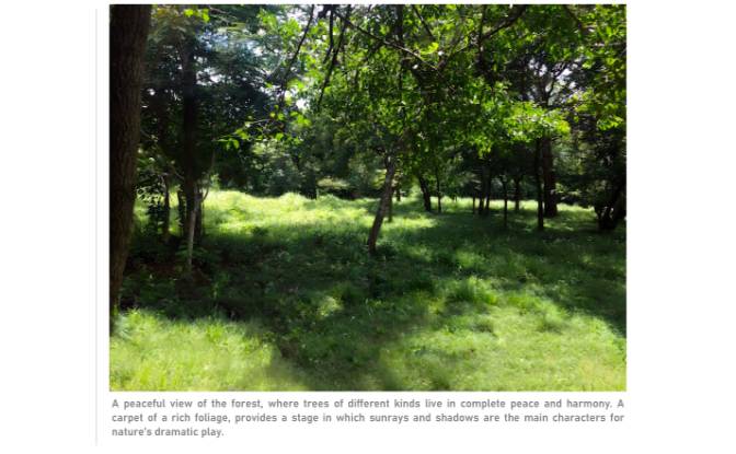Land Lot for Sale Via sin nombre. Photo#5