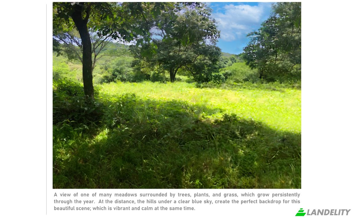 Land Lot for Sale Via sin nombre, Provincia de Guanacaste, Nicoya, Guanacaste Province, Costa Rica. Photo 6