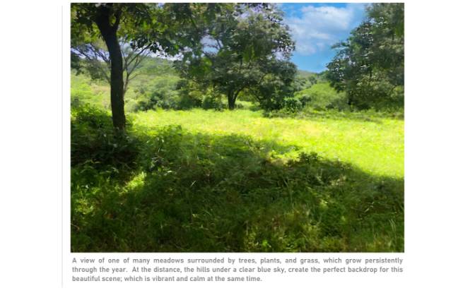 Land Lot for Sale Via sin nombre. Photo#6