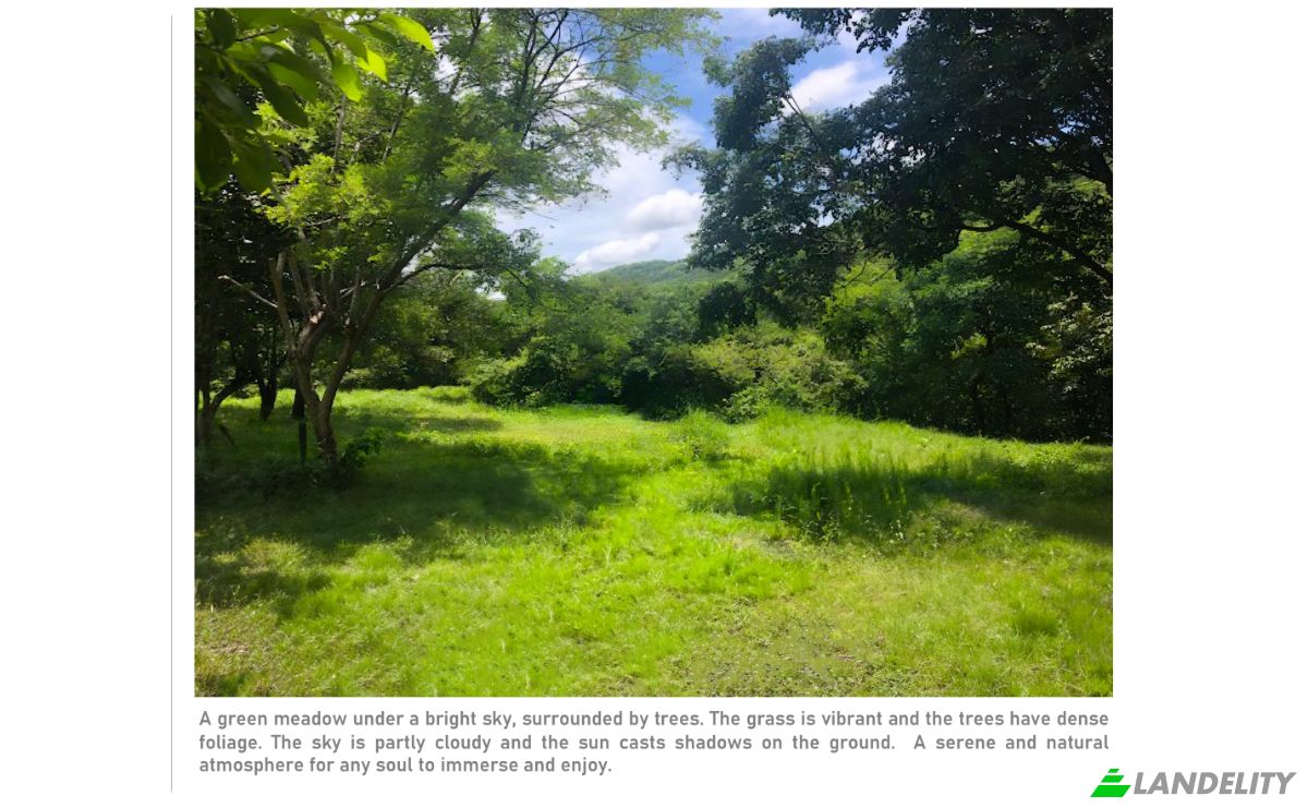Land Lot for Sale Via sin nombre, Provincia de Guanacaste, Nicoya, Guanacaste Province, Costa Rica. Photo 7