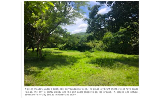 Land Lot for Sale Via sin nombre. Photo#7