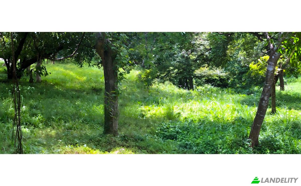 Land Lot for Sale Via sin nombre, Provincia de Guanacaste, Nicoya, Guanacaste Province, Costa Rica. Photo 12