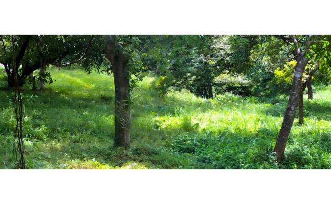 Land Lot for Sale Via sin nombre. Photo#12