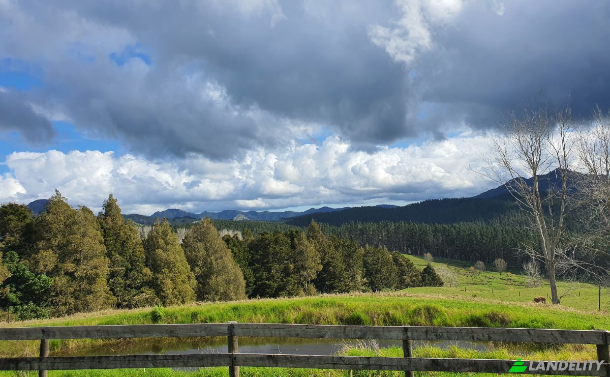 Land Lot for Sale Tokiri Road, Titoki, Whangarei District, Northland, New Zealand. Photo 2