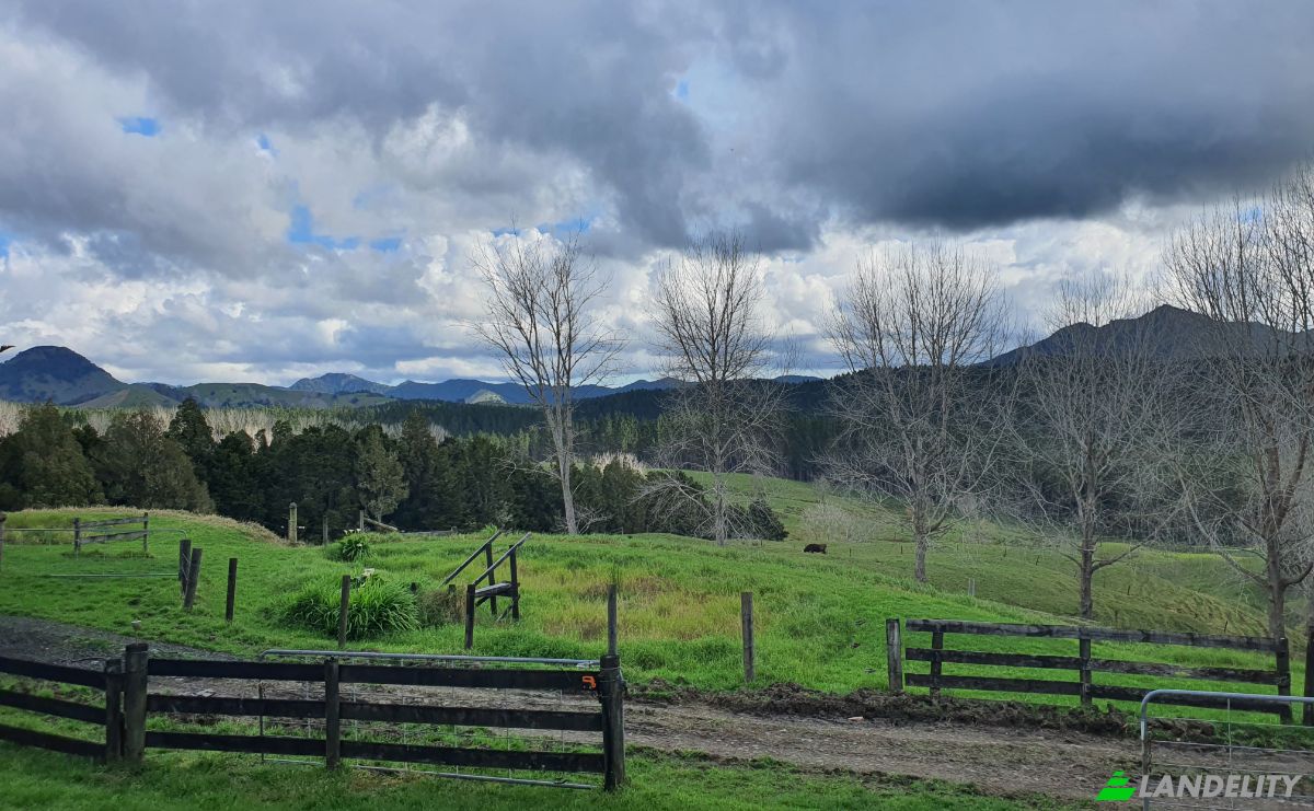 Land Lot for Sale Tokiri Road, Titoki, Whangarei District, Northland, New Zealand. Photo 3