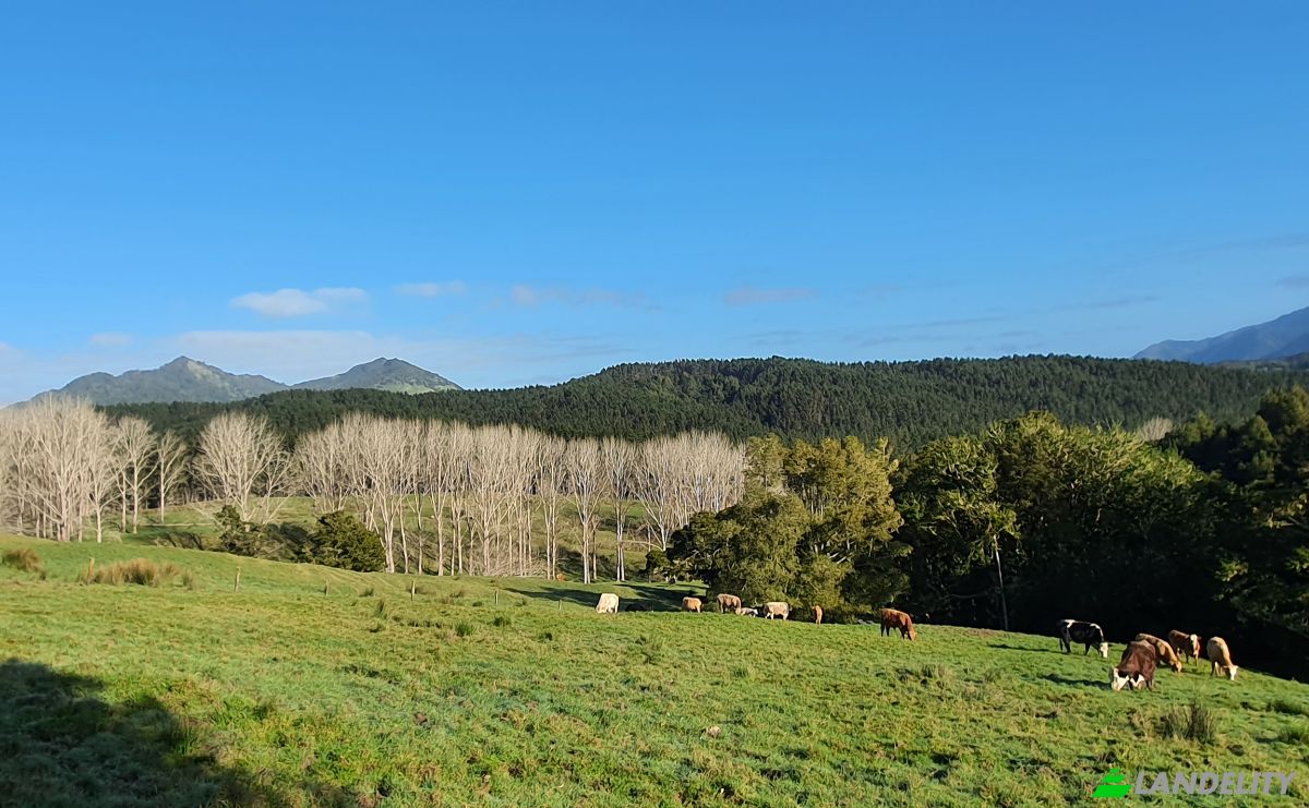 Land Lot for Sale Tokiri Road, Titoki, Whangarei District, Northland, New Zealand. Photo 1