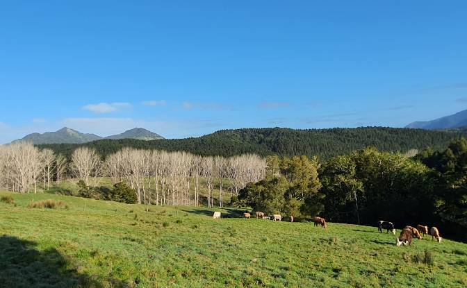Land Lot for Sale - Titoki, New Zealand